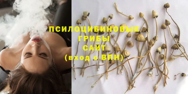 spice Алексин