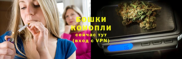 spice Алексин