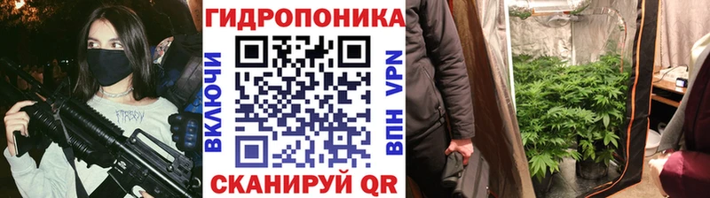 Шишки марихуана сатива  Россошь 